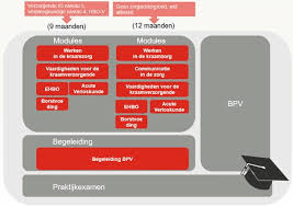 De Cruciale Rol van Kraamzorg MBO in Geboortezorg